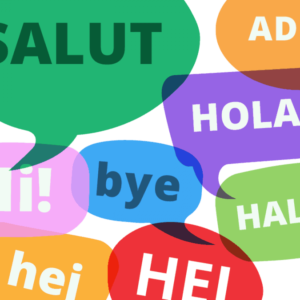 Translation per word